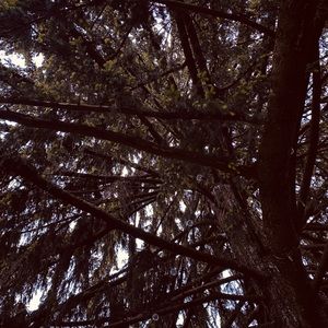 Meet your Posher, Brendan